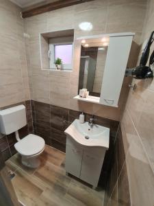 Koupelna v ubytování Apartmani Ana Vukovar