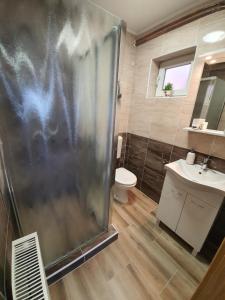 Koupelna v ubytování Apartmani Ana Vukovar