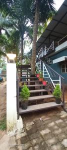 a staircase with potted plants next to a house at Thyme Guest House in Palolem