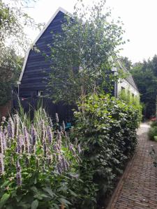 een tuin met paarse bloemen en een zwart huis bij Inn the Green in Zeist
