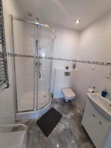 Kúpeľňa v ubytovaní Apartamenty Słoneczne