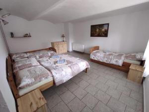 1 dormitorio con 2 camas en una habitación en Statek Tomandlov, 