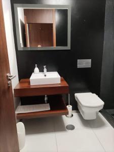 La salle de bains est pourvue d'un lavabo et de toilettes. dans l'établissement Confort4you Apartment, à Gerês