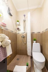 モスクワにあるУютные апартаментыのバスルーム(トイレ、シャワー、タオル付)