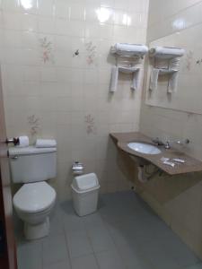 a white bathroom with a toilet and a sink at Virgilius Palace Hotel in Araxá