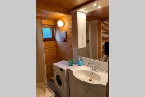 a bathroom with a sink and a washing machine at Houseboat - Beacon of happiness in Jarovce +23 photos
