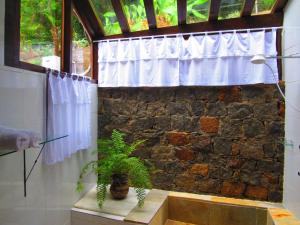 Gallery image of Acqua Jungle Glamping & Room in Abraão