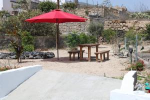 A garden outside Half wooden rural apartment
