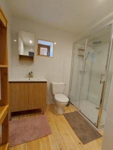 a bathroom with a toilet and a glass shower at gîte de groupe L'Estable in Saint-Cirgues