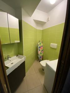Kúpeľňa v ubytovaní Sara Home