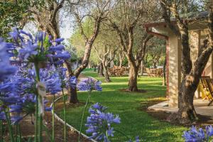 un giardino con fiori blu nell'erba di Bio Agriturismo Salos ad Alimini
