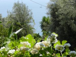 Foto dalla galleria di Georgia a Nikiana