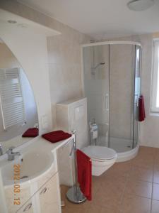 ein Bad mit einer Dusche, einem WC und einem Waschbecken in der Unterkunft Ferienhaus in Hafennähe in Sassnitz