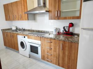 a kitchen with a sink and a washing machine at Apartamentos CENTRO HISTORICO in Málaga