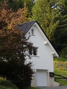 a white house with a window and a garage at Ferienhaus am Ruhberg in Winterberg