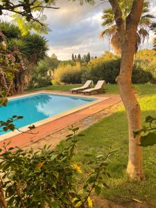 Bazén v ubytovaní Natura & Relax Ficus alebo v jeho blízkosti