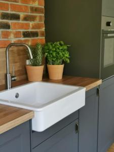 uma cozinha com um lavatório branco e dois vasos de plantas em Ferienhaus Glücksgriff Pottenstein em Pottenstein