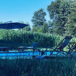 a group of chairs and an umbrella in a field at Boutique Glamping Divja DiVine in Zgornja Korena