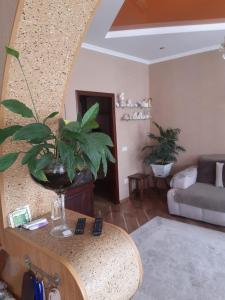 una sala de estar con una mesa con una planta en Апартаменти ''Комфорт'', en Kamianets-Podilskyi