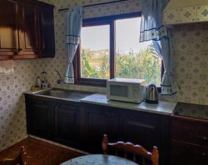 a kitchen with a microwave on a counter with a window at Casa Rural de Tío Félix in Vega de San Mateo