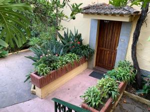 A garden outside Casa Rural de Tío Félix