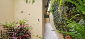 un pasillo con plantas en el lateral de un edificio en Habitación A independiente para parejas o ejecutivos, en Manta