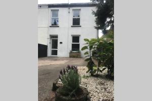 a white house with plants in front of it at Pondside Cottage in Carmarthen