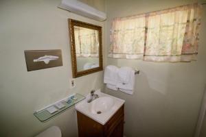 Kamar mandi di Oakdell Motel WATERFORD CT