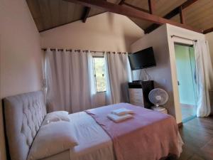a bedroom with a large bed and a television at Lumiar Chalé Jardim do Sossego in Lumiar