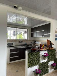 a kitchen with a counter with plants in it at BOUTIQUE Hotel Balop in Valledupar