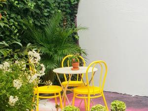 ポルトにあるSUPERNOVA - Hostel & Caféのテーブル(椅子2脚付)とテーブル(植物付)