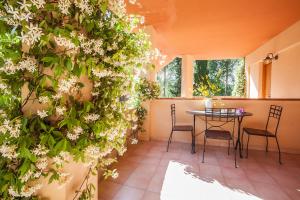 Zahrada ubytování Agriturismo Cavendo Tutus