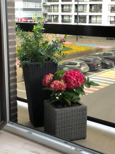 Fotografie z fotogalerie ubytování Luxueus nieuw zonnig hoekappartement SEAVIEW Heldenplein - ruime garagebox - 2 fietsen v destinaci Knokke-Heist