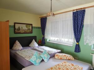 two beds in a room with green walls and windows at Landpension Zum Schweizerberg in Neugrimnitz