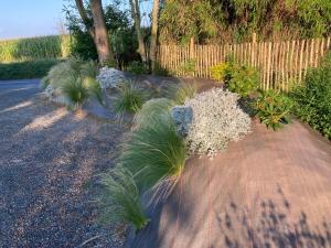 um jardim com plantas ao lado de uma estrada em Studio Escapade Normande proche Etretat em Saint-Jouin-Bruneval