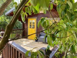 a small cabin with a yellow door on a deck at Beaufort House Accomodation in New Ross