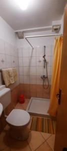 ツレスにあるApartment Lucijaのシャワー、トイレ、洗面台を備えたバスルーム