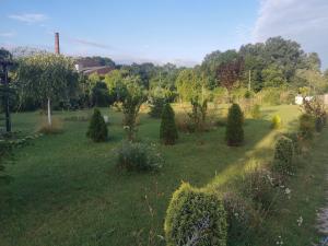 a garden with trees and bushes in a field at Ferienhaus mit Kamin in Krackow