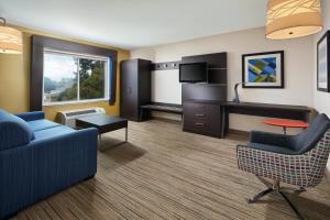 a living room with a couch and a tv at Holiday Inn Express Hotel & Suites Belmont by IHG in Belmont