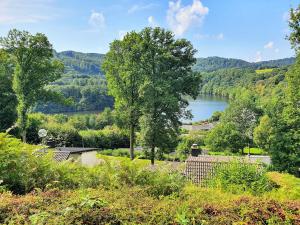 Blick auf einen See von einem Hügel mit Bäumen in der Unterkunft Ferienhaus Stausee Eifel in Biersdorf