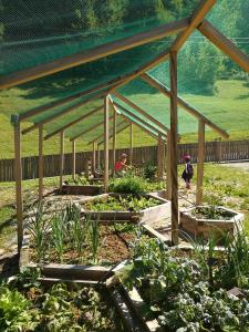 Gallery image of Kmetija Dolski - Apartment in peaceful nature, hiking and biking in Sovodenj