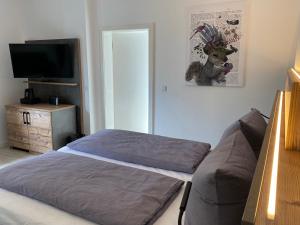 TV a/nebo společenská místnost v ubytování Hostel Harzer Hof
