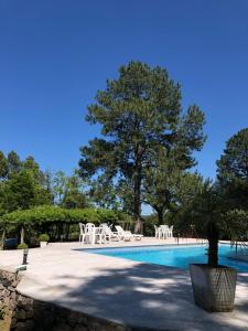 a swimming pool with white chairs and a tree at Pousada da Chacara in Nova Petrópolis