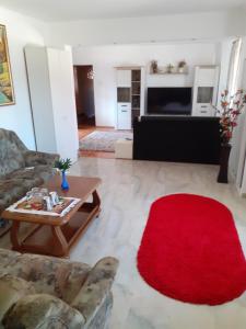 a living room with a couch and a red rug at Casa Cristea in Daneş