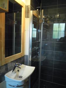 a bathroom with a sink and a glass shower at Lenzer Parkblick am Plauer See in Lenz