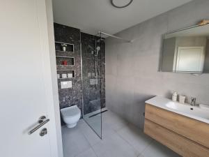 a bathroom with a shower and a toilet and a sink at Villa Biondina in Senj +67 photos