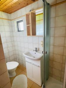 a bathroom with a sink and a toilet at Chata Adam u Lipna in Horní Planá