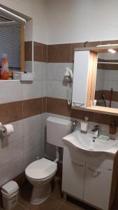 Koupelna v ubytování Apartment and rooms"Tabašnice"Tuzla centar