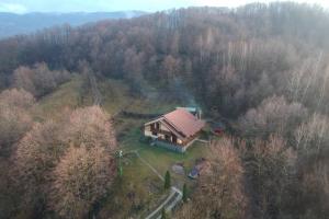 una vista aérea de una casa en una colina en House in the Forest, en Cătunu
