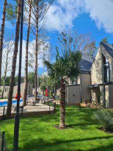 a palm tree in a yard next to a house at Čiki puki apartamentai Pienės pūkas in Palanga